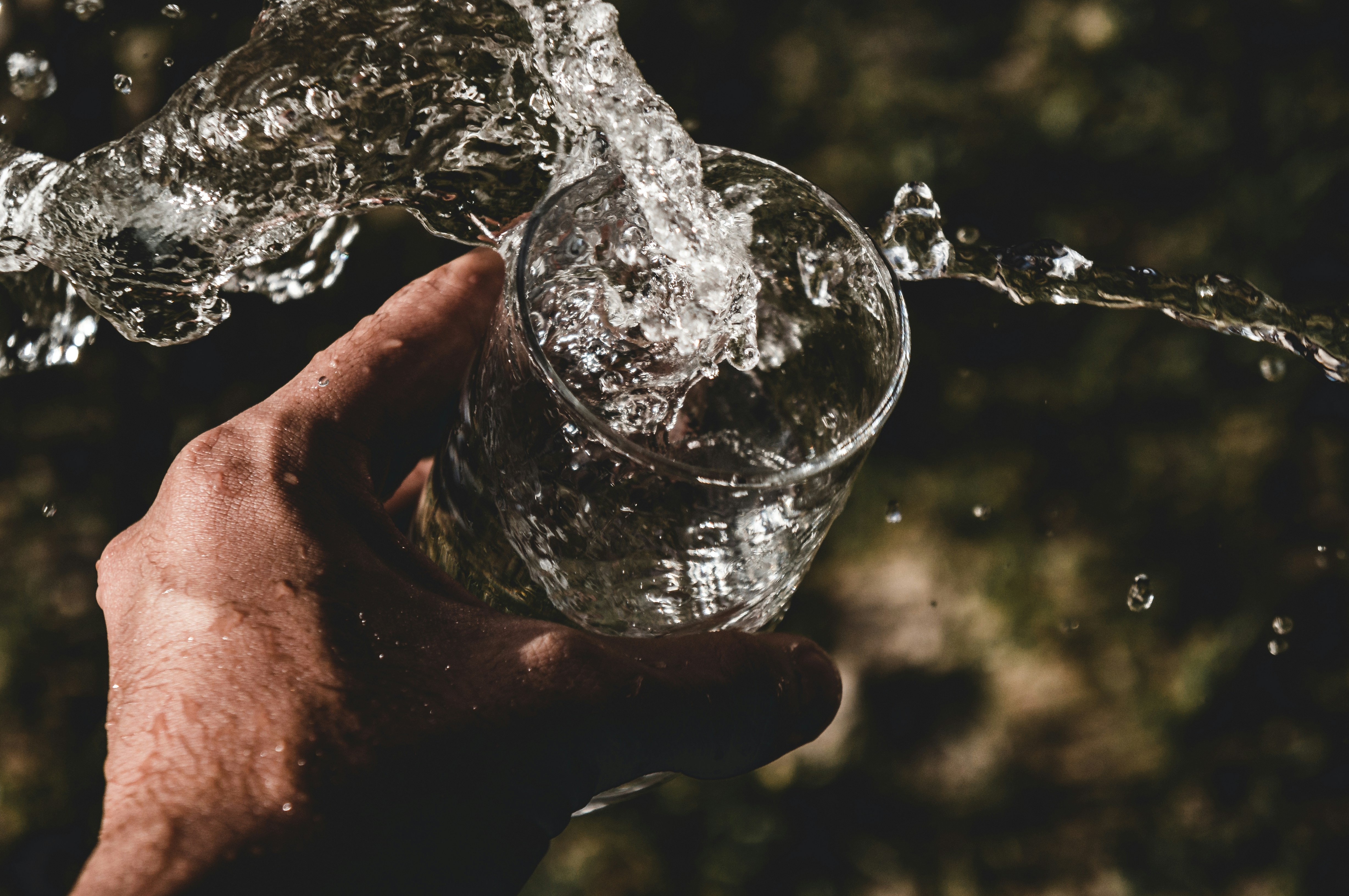 Anderson Rian Klwak Fdeia Unsplash
